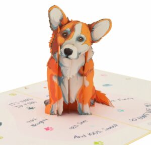 opopup corgi dog pop up card come magic flying butterfly- card dog loving friends, christmas, birthday, thank you card, mother's day, father's day, all occasions.