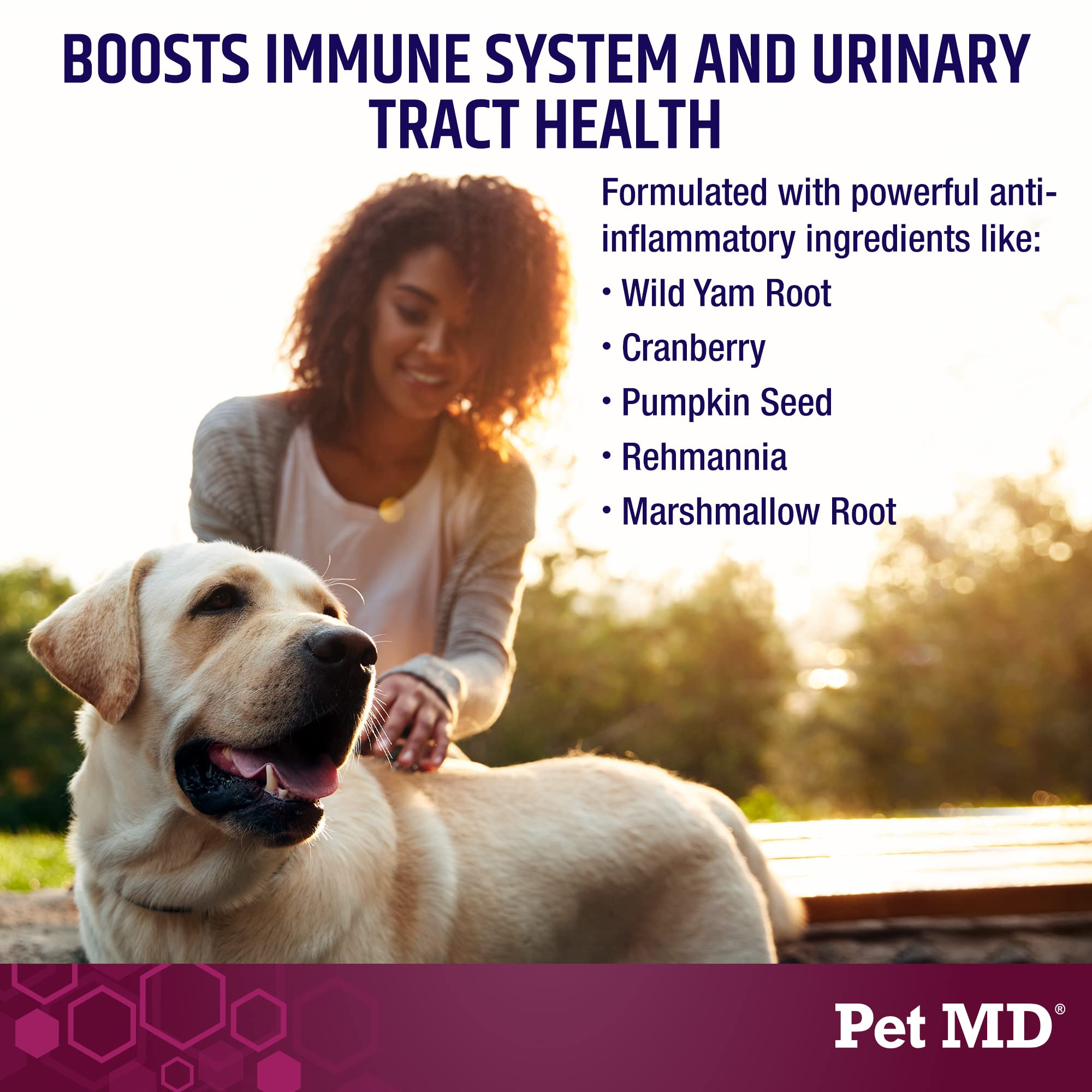 Pet MD Bladder Support Plus Cranberry for Dogs - Support Bladder Control & Urinary Tract Health - Help Relieve Dog UTI & Incontinence - Wild Yam Root & Cranberry Bladder Bites for Dogs - 60 ct