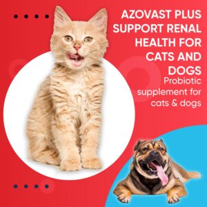 Azovast Plus Kidney Health Supplement for Dogs & Cats, Oral Paste (60 cc) - NO Refrigeration Required - Help Support Kidney Function & Manage Renal Toxins Chicken Flavor (Made in U.S.A(60cc)