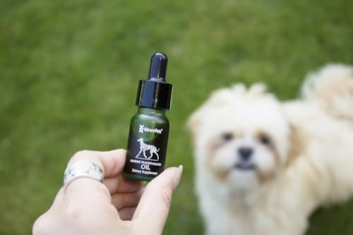 Kōrure Pets Dog Hip and Joint Care, Green Lipped Mussel Oil, for Joint Health, Joint Flexibility, Mobility Support, Made in New Zealand, 0.3 Fl Oz / 1 Fl Oz (9ml/ 0.3 Fl Oz)