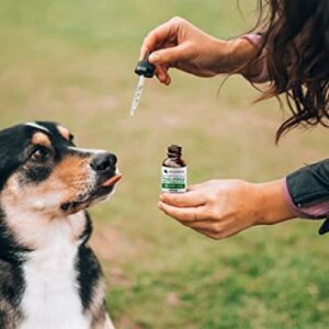 Hemp Oil for Dogs or Cats - 1000mg/1 Oz Calming Drops for Your Dog, Cat, or Pet - Maximum Strength