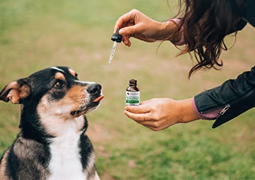 Hemp Oil for Dogs or Cats - 1000mg/1 Oz Calming Drops for Your Dog, Cat, or Pet - Maximum Strength