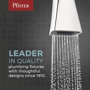 Pfister BRH-VRV1D Bath Hardware, Polished Nickel