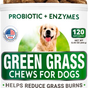 Hemp + Glucosamine + Grass Treatment for Dog Urine Bundle - Joint Pain Relief + Grass Restore - Hemp Oil, Chondroitin w/MSM, Omega 3 + Probiotics - Hip & Joint Supplement + Pee Lawn Repair - 240 Chews