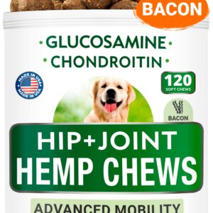 Hemp + Glucosamine + Probiotics Bundle - Joint Pain Relief + Upset Stomach Relief - Hemp Oil, Chondroitin w/MSM, Omega 3 + Digestive Enzymes, Prebiotics - Improve Digestion, Immunity - 120 +180 Chews