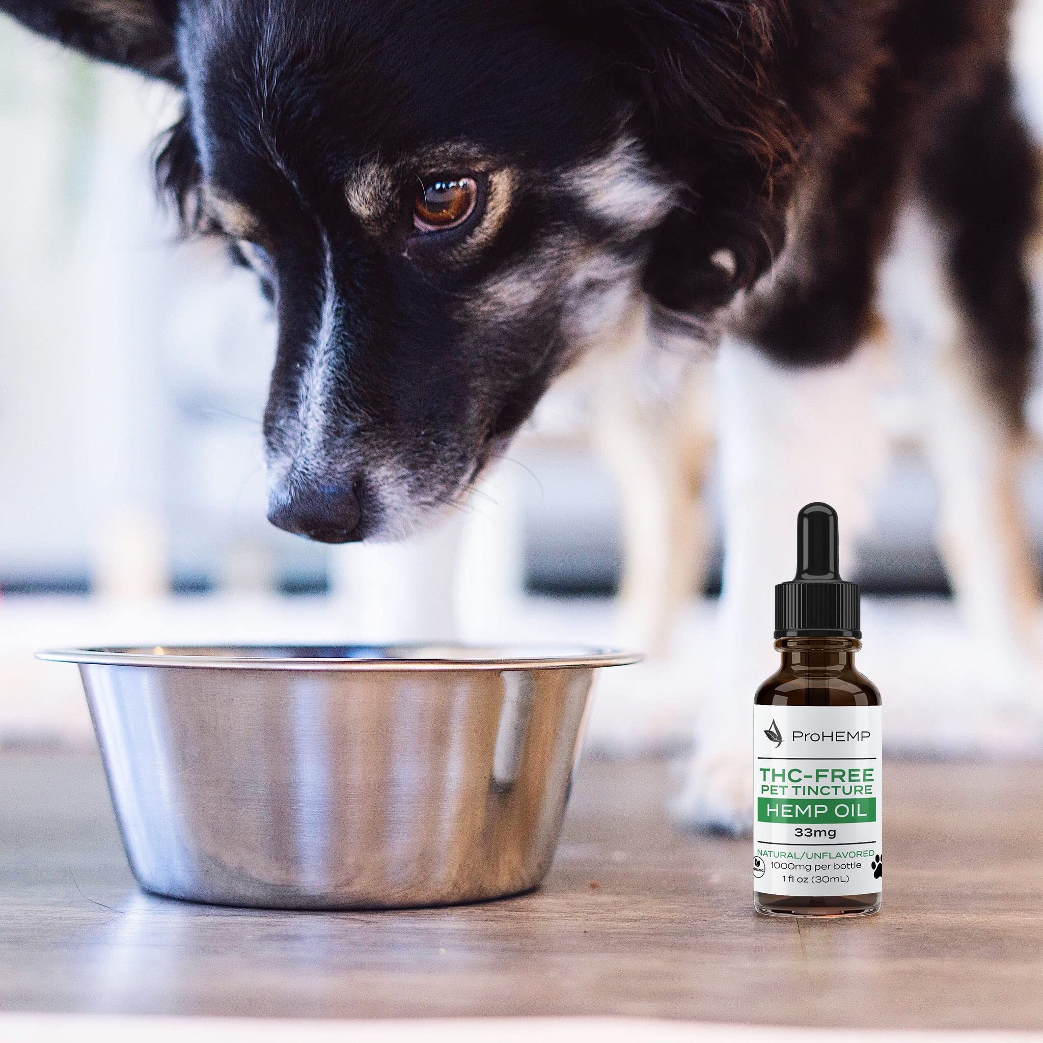 Hemp Oil for Dogs or Cats - 1000mg/1 Oz Calming Drops for Your Dog, Cat, or Pet - Maximum Strength