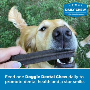 All-Natural Doggie Dental Chews - Star Shaped Beefy Dental Chews - Limited Ingredient, Collagen, Real Beef, Easily digestible - Promotes Dental Hygiene and Health - 10 Pack