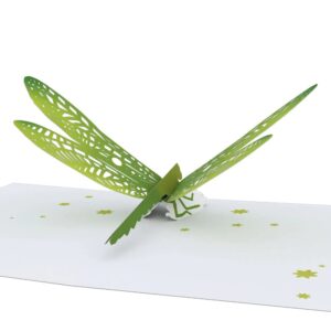 lovepop dragonfly pop-up card – greeting card with pop-up gift – handcrafted 3d pop-up greeting card – birthday card, 3.9 x 5”