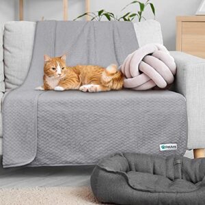 PetAmi Waterproof Dog Blanket, Leakproof Puppy Blanket for Medium Large Dogs, Furniture Sofa Couch Cover Protector, Fleece Pet Throw Indoor Cat Kitten, Reversible Washable Soft Plush, 40x60 Light Gray