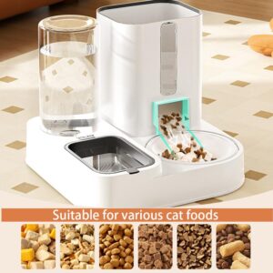 Automatic Cat Feeder with Food Dispener and Water Dispener,Big Capacity Gravity Automatic Pet Feeding & Watering Dispenser Supplies for Small Dog and All Types of Cats.