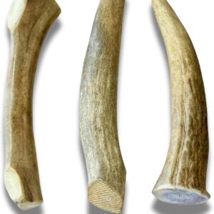 WhiteTail Naturals - Sun Aged Deer Antler Dog Chews (3 Pack Small) Economy Grade Natural Dog Bone Chews -