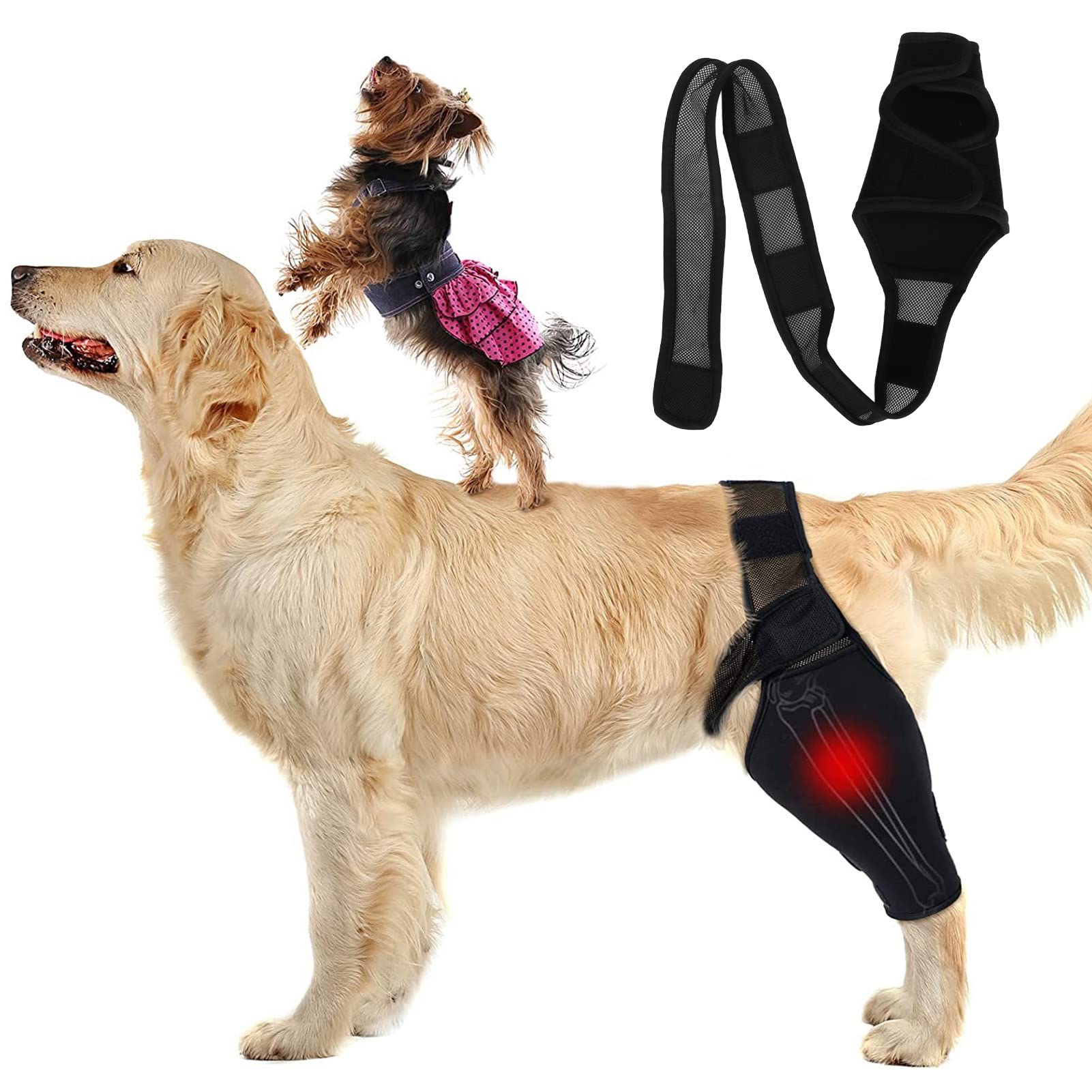 Dog Elbow Brace Protector Pads, Elbow Support Compression Wrap Knee Brace for Dogs Canine Elbow and Shoulder Support, Dysplasia, Arthritis, Elbow Calluses, Pressure Sores, Shoulder Dislocation(M)