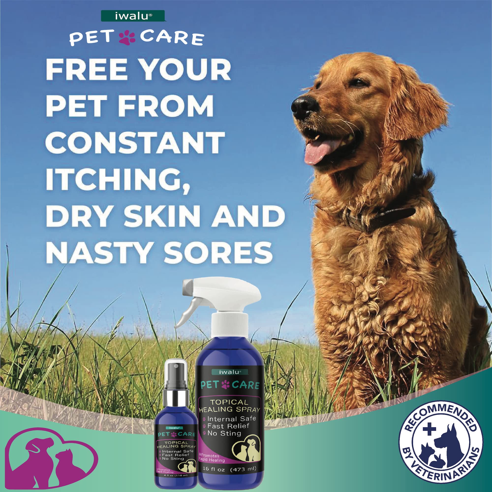 Allergy Medication For Dog Cat Itchy Skin Relief Dog Skin And Coat Supplement Anti Itch Relief Anti Hot Spot Paw Cleaner Soother Treatment Best Dog Moisturizer For Dry Skin Pet Wound Care Spray (16oz)