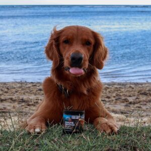 Northern Cascades Dog Immunity Supplement Supporting Superfood Mushroom to Strengthen K9 Immune System and Increase Vitality