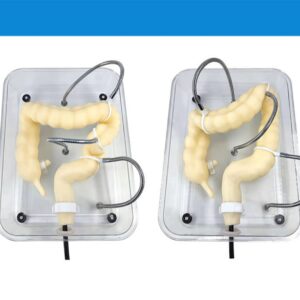 WFZY Medical Colon Model Soft Virtual Colonoscopy Training Model for Nursing Medical Training