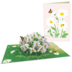 UNIPOP Daisy Pop Up Card, Birthday Card for Daughter, Flower Pop Up Card, Daisy Birthday Card, Birthday Card for Wife, Daisy Greeting Card