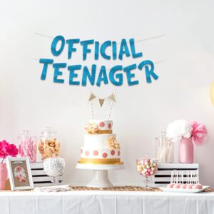 Official Teenager Blue Glitter Banner - 13th Birthday Party Decorations, Gifts, and Supplies