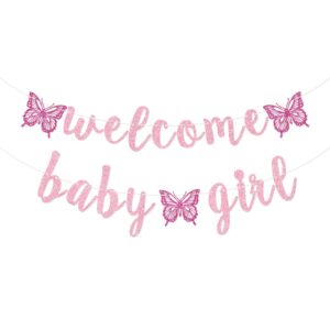 welcome baby girl banner, butterfly baby girl banner, girl baby shower decorations (pink)