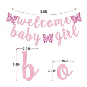 Welcome Baby Girl Banner, Butterfly Baby Girl Banner, Girl Baby Shower Decorations (Pink)