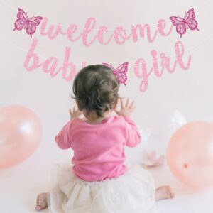 Welcome Baby Girl Banner, Butterfly Baby Girl Banner, Girl Baby Shower Decorations (Pink)