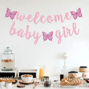 Welcome Baby Girl Banner, Butterfly Baby Girl Banner, Girl Baby Shower Decorations (Pink)