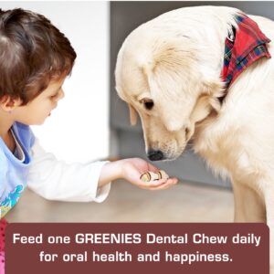 UrbanX HealthyBones Beef Rawhide Free Healthy Mini Chews for Cheagle and Other Small Mixed Breed Dogs Great Foods for Training Rewards, 28 Count