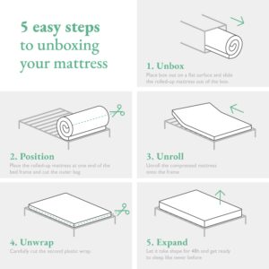 Little Seeds Moonglow 6 Inch Reversible Innerspring Mattress in a Box, Full Size