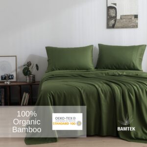 Bamtek - Duvet Cover Set - 100% Viscose from Bamboo Duvet Cover King Size, 3 PC Luxury Cooling Duvet Cover for Hot Sleepers, Silky Buttery Soft Comforter Cover & 2 PC King Pillowcases, Forest