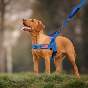 Annchwool No Pull Dog Harness with Soft Padded Handle,Reflective Strip Escape Proof and Quick Fit to Adjust Dog Harness,Easy for Training Walking for Small & Medium and Large Dog(Blue,L)