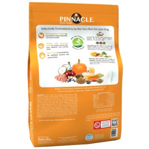 Pinnacle Pet Pinnacle Turkey & Pumpkin Dry Dog Food 22 lb, Infused with Broth