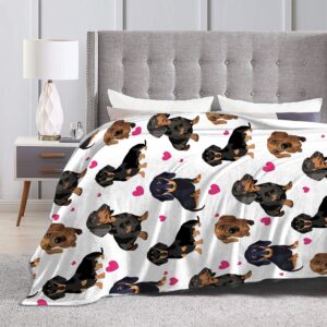 Dachshund Blanket for Girls Boys Women Gifts for Dachshund Lovers Dachshund Throw Blanket for Kids Adults Ultra Soft Cozy Fleece Blanket for Couch Sofa ​Bed 40"x50"