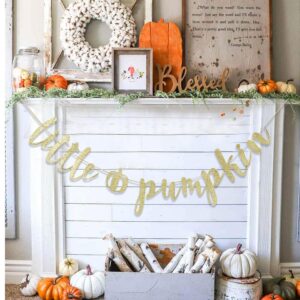 Little Pumpkin Banner - Halloween banner,Little pumpkin 1st birthday banner,Fall Themed Baby Shower Banners, Gold Glitter Fall Baby Party Decorations