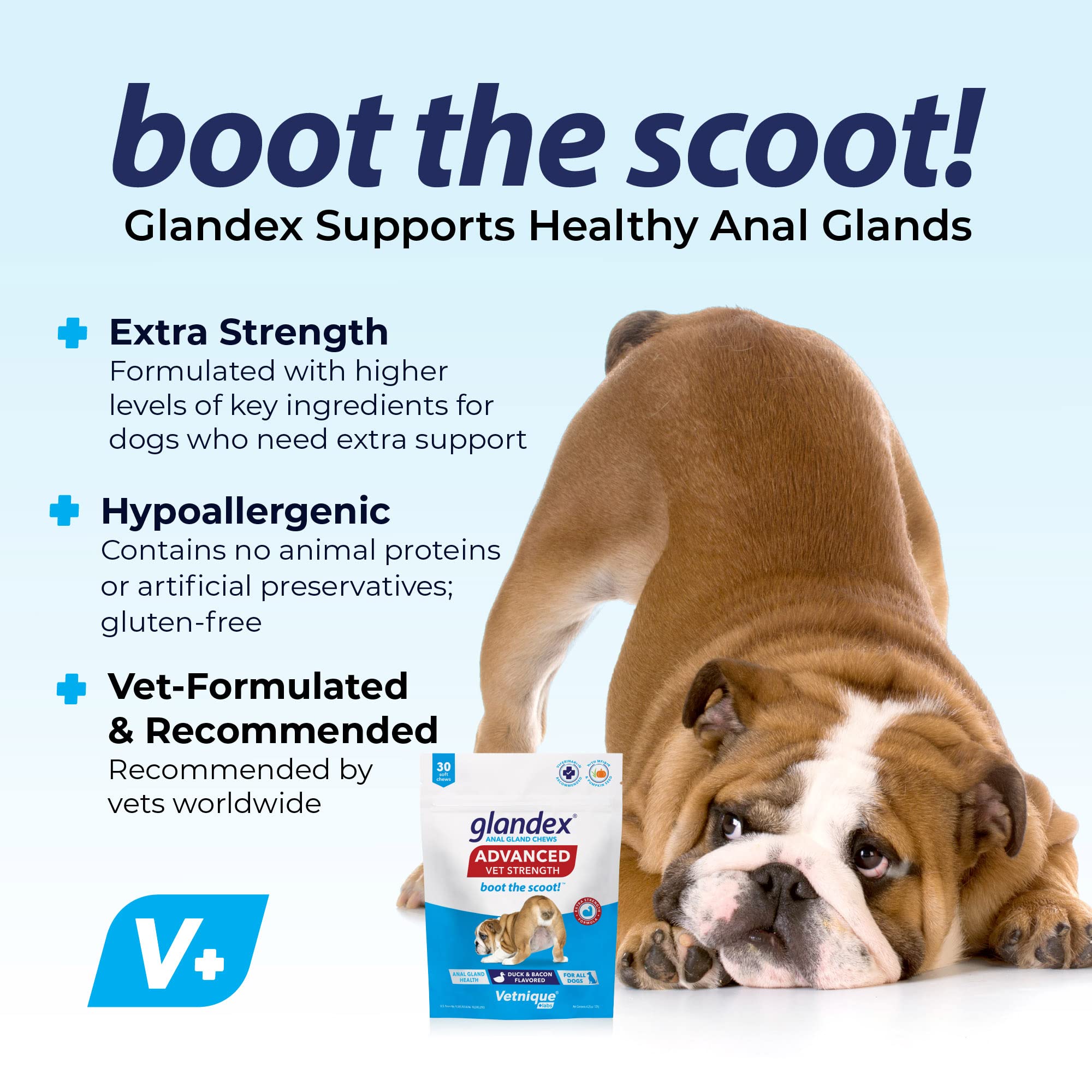 Glandex Anal Gland Hygienic Pet Wipes 100 Ct Advanced Vet-Strength Chews 30 Ct Bundle Dog Cleaning Wipes with Fresh Scent, Vet-Strength Anal Gland Supplement for Dogs with Extra Fiber