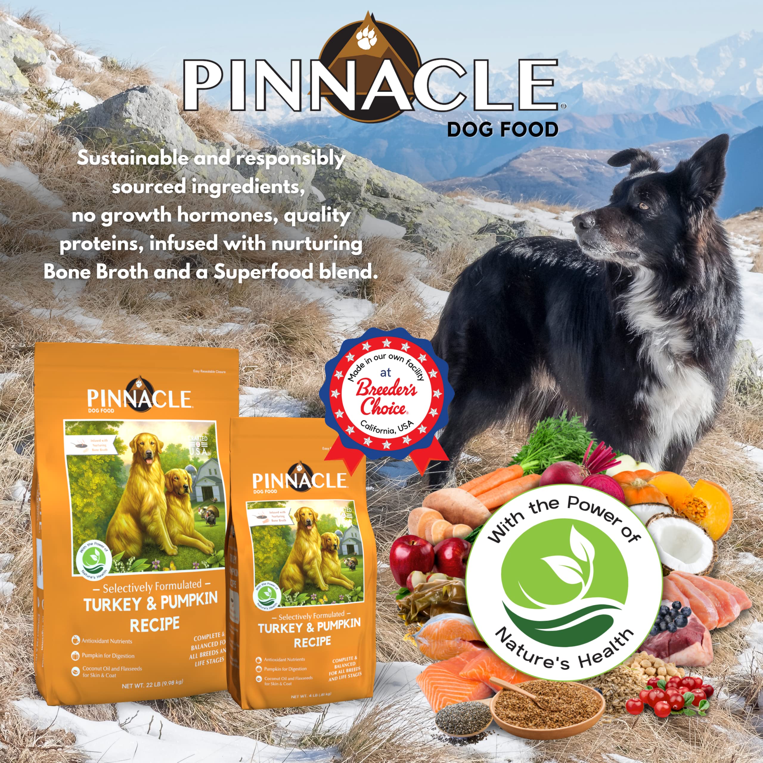 Pinnacle Pet Pinnacle Turkey & Pumpkin Dry Dog Food 22 lb, Infused with Broth