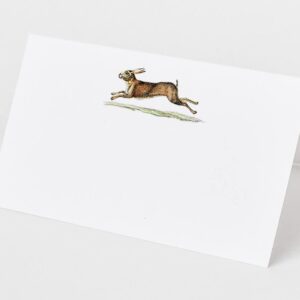 Place Cards with Rabbit (Hare) for Showers and Dinner Parties. Table Tent Style, Scored for Easy Folding (12)