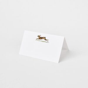 Place Cards with Rabbit (Hare) for Showers and Dinner Parties. Table Tent Style, Scored for Easy Folding (12)