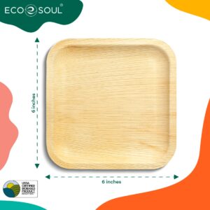 ECO SOUL Compostable 6 Inch Small Palm Leaf Round Plates (100, 6" Square Plates)