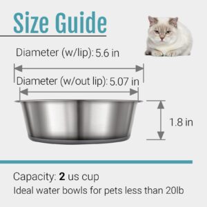 PEGGY11 Stainless Steel Metal Cat Bowls, Nonslip Rubber Bottom, Dishwasher Safe, Easy to Clean - 2 Pack, Each Holds 2 US Cup