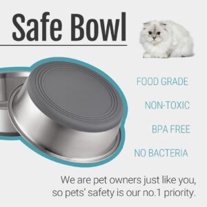 PEGGY11 Stainless Steel Metal Cat Bowls, Nonslip Rubber Bottom, Dishwasher Safe, Easy to Clean - 2 Pack, Each Holds 2 US Cup