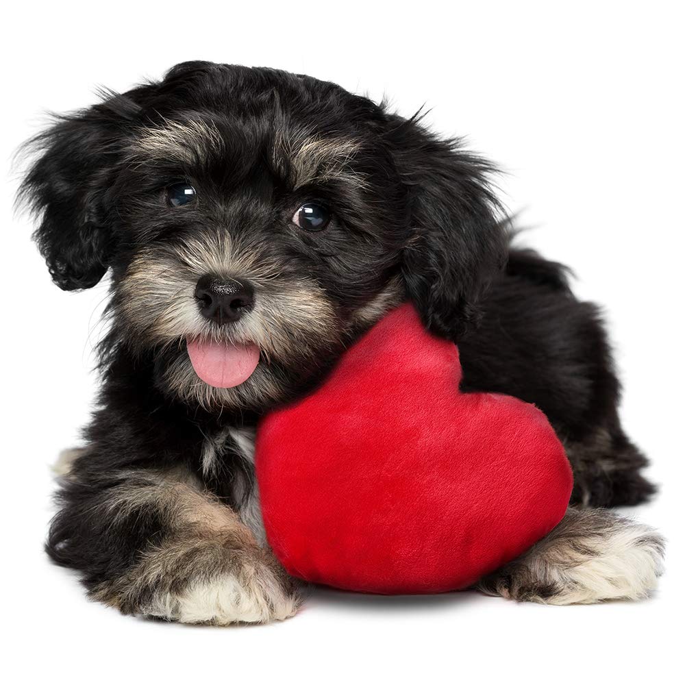 Moropaky Heartbeat Toy Puppy Heartbeat Stuffed Animal Heartbeat Pillow Dog Anxiety Relief Toy for Crate Training,Sleep Aid,Behavioral Aid - Cuddly Soother Comfort Puppy