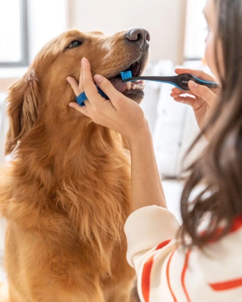 Paw Ready Pet Toothbrushing Assistant for Dogs and Cats Allows You to Brush Your pet’s Teeth Without Constantly Worrying About Getting Bitten Medium Size for Pets Between 15-85 lbs. (7-38.5 Kg)