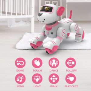 STEMTRON Programmable Remote Control Robot Cat Robot Dog for Kids, Interactive Robotic Dog Robotic Cat, Robo Dog Robo Cat, RC Robot with Touch Sensing, LED Eyes, Dance & Music