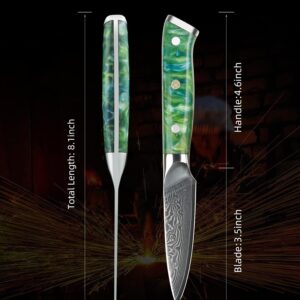 SANMUZUO 3.5 Inch Paring Knife - Kitchen Fruit Vegetable Knife Damascus Steel & Resin Handle - XUAN Series (Jade Green)