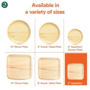 ECO SOUL Compostable 6 Inch Small Palm Leaf Round Plates (50, 6" Square Plates)