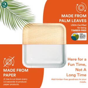 ECO SOUL Compostable 6 Inch Small Palm Leaf Round Plates (50, 6" Square Plates)