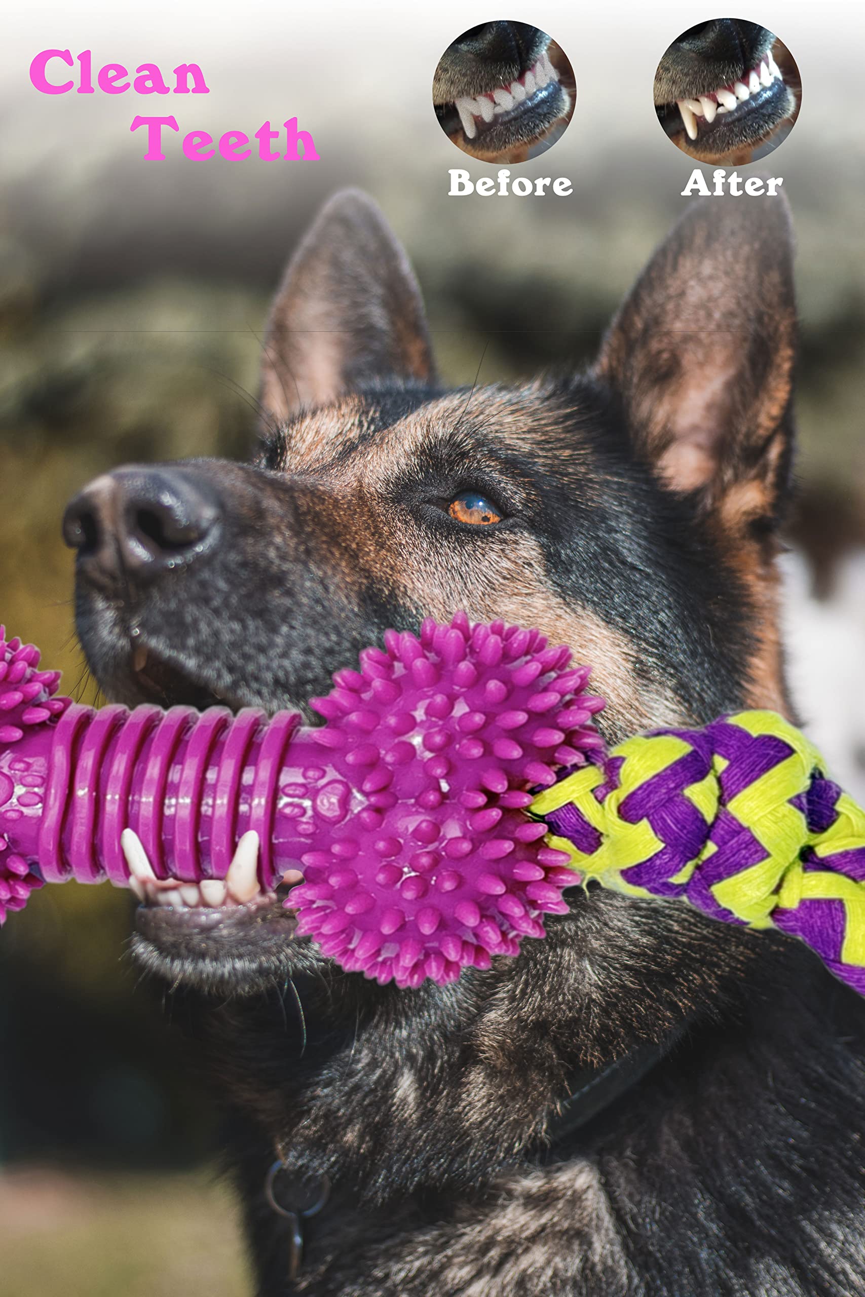 JADEWELL 3-in-1 Durable Dog Chew Toy with Natural Rubber Dental Bone Rope and Tennis Ball for Aggressive Chewers Clean Teeth Interactive Toys for Puppy Small Medium Large Dogs Cats Pets