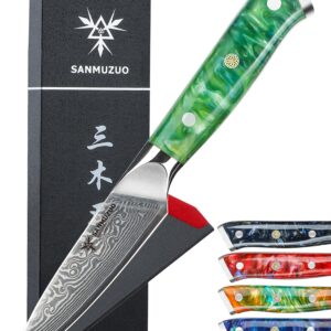 SANMUZUO 3.5 Inch Paring Knife - Kitchen Fruit Vegetable Knife Damascus Steel & Resin Handle - XUAN Series (Jade Green)