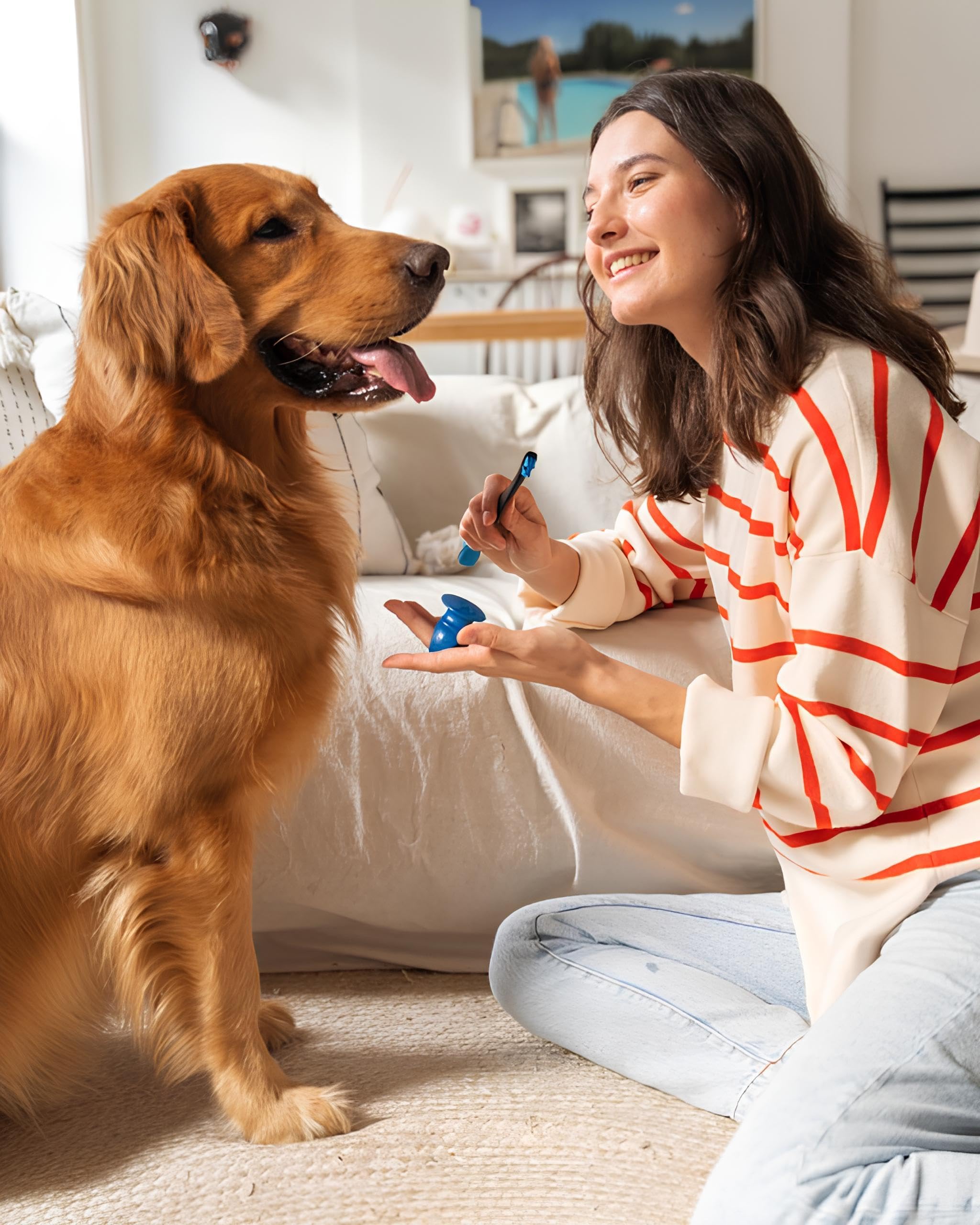 Paw Ready Pet Toothbrushing Assistant for Dogs and Cats Allows You to Brush Your pet’s Teeth Without Constantly Worrying About Getting Bitten Medium Size for Pets Between 15-85 lbs. (7-38.5 Kg)