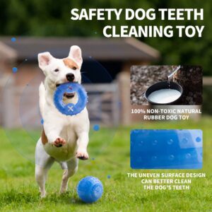 Dog Chew Toys for Aggressive Chewers, Puppy Teething Ring and Dog Ball, Treat Dispensing Dog Toys, Frozen Tough Puppy Toys Set 2 Pack for Small, Medium Dog