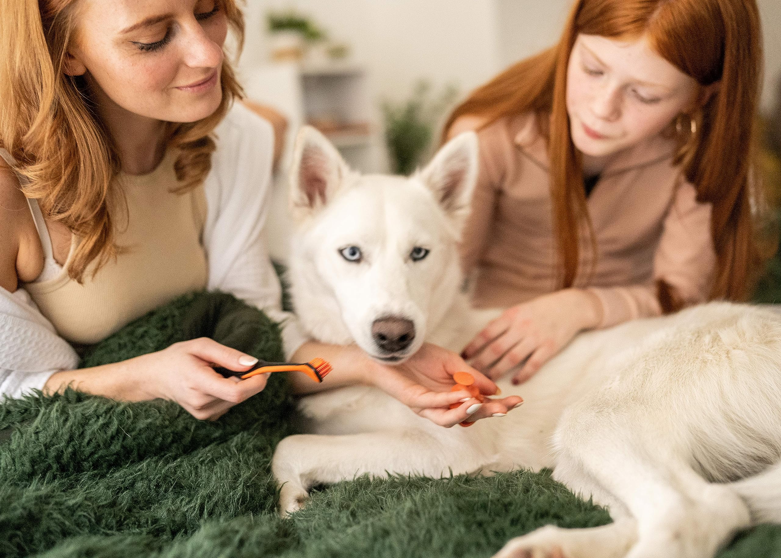 Brushmate Dog Toothbrush for Pet Puppies Dogs and Cats Dual Size Angled Soft Brush Heads, Ergonomic Handle with a Flat Center That enhances Grip Control